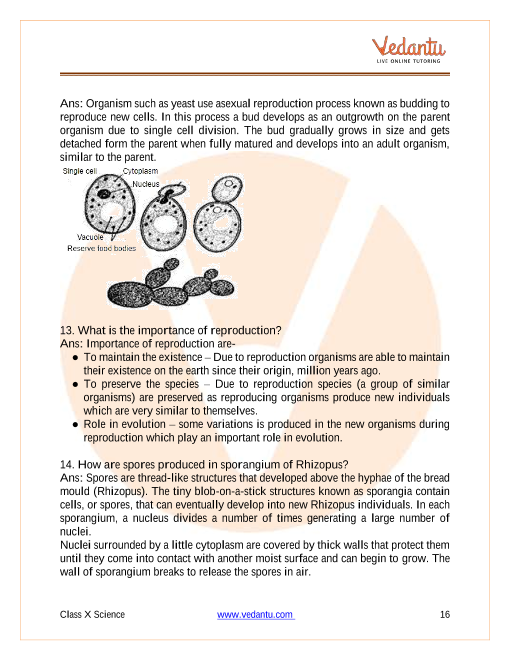 Cbse Class Science Chapter Control And Coordination