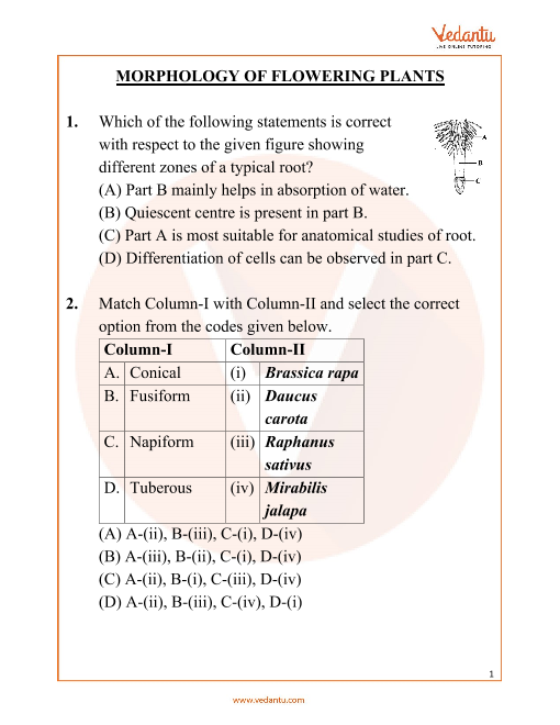 Neet Important Questions Biology Morphology Of Flowering Plants