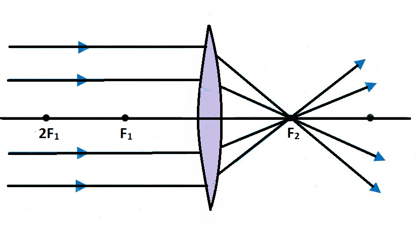 Draw Ray Diagram Showing The Image Formation By A Convex Lens When An