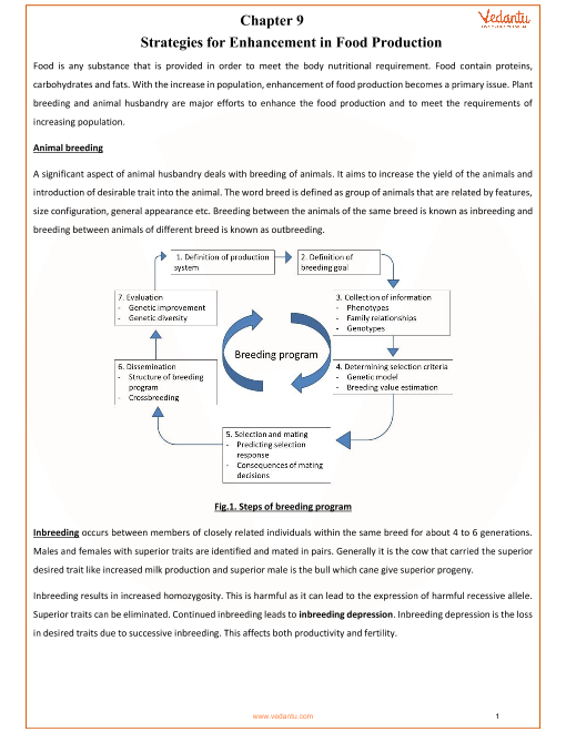 Cbse Class 12 Biology Chapter 9 Strategies For Enhancement In Food