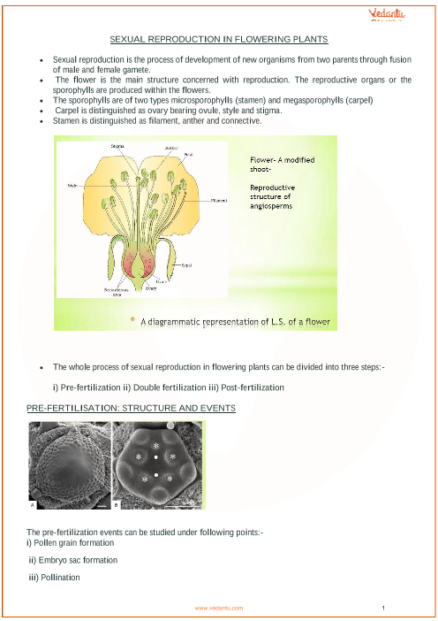 CBSE Class 12 Biology Chapter 2 - Sexual Reproduction In Flowering ...