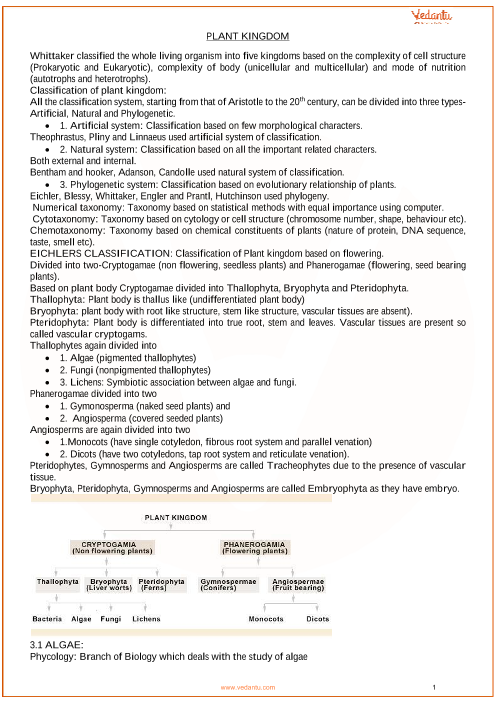 cbse-class-11-biology-chapter-3-plant-kingdom-revision-notes