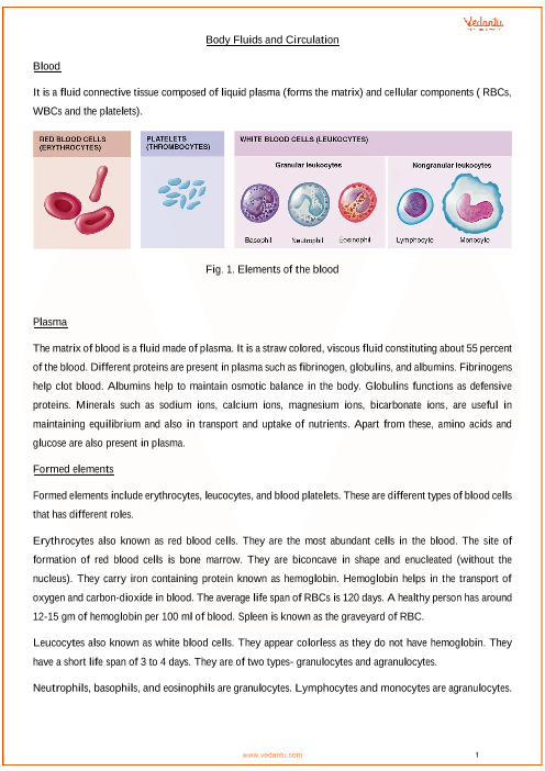 CBSE Class 11 Biology Chapter 18 - Body Fluids And Circulation Revision ...