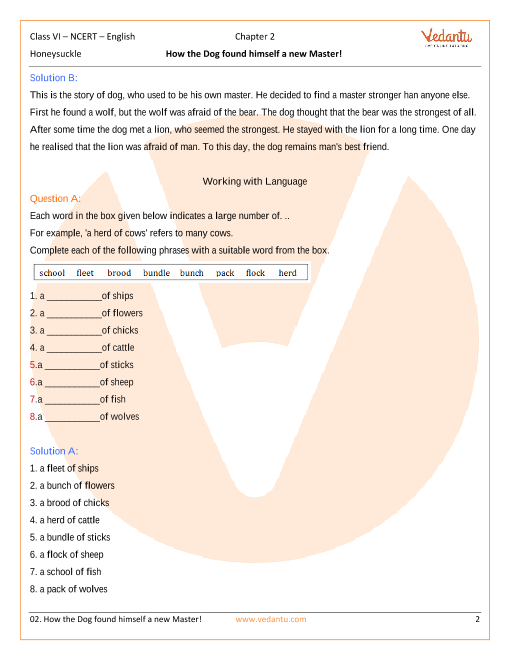 Ncert Solutions For Class 6 English Honeysuckle Chapter 2 - 