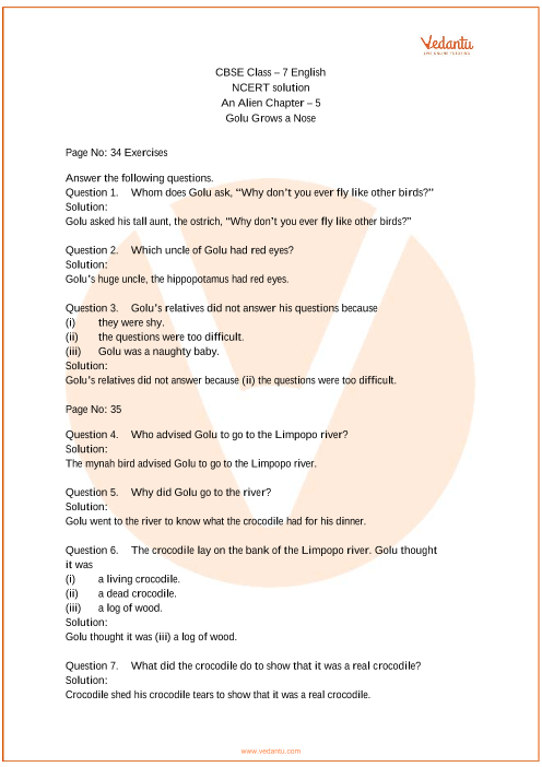 ncert-solutions-for-class-7-english-an-alien-hand-chapter-5-golu