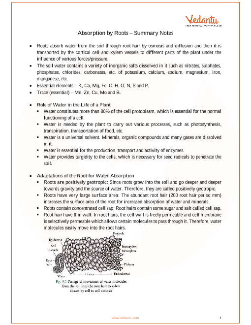 CLASSNOTES: Class 10 Biology Notes Pdf