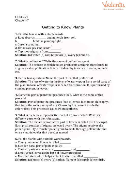cbse class 6 science getting to know plants worksheets with answers chapter 7