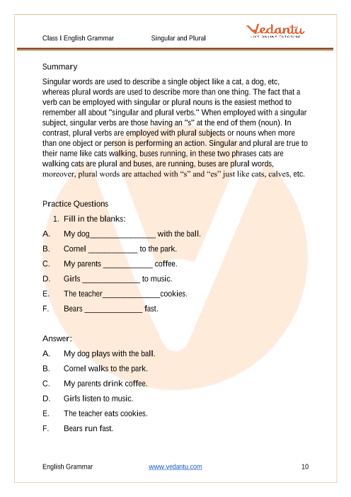 English - Class 1: One and Many (Singular and Plural) Worksheet 2 (Answer)