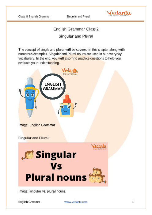 English - Class 1: One and Many (Singular and Plural) Worksheet 2 (Answer)