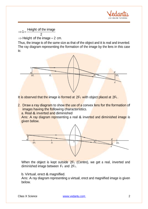 Inverted Triangle Model  Download Scientific Diagram