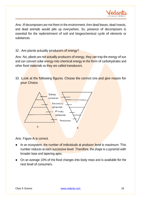 Important Questions of CBSE class 10 Science