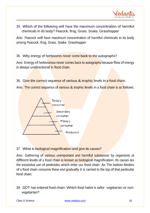 Important Questions of CBSE class 10 Science