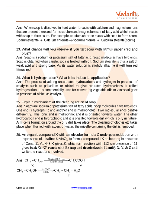 Important Questions of CBSE class 10 Science