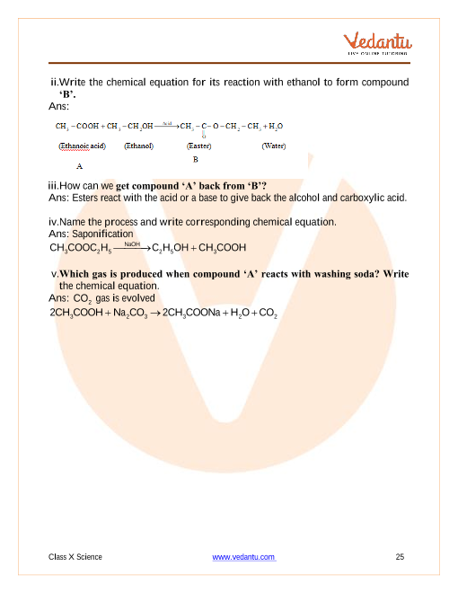 Important Questions of CBSE class 10 Science