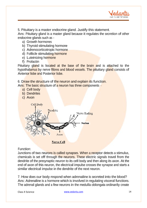 Important Questions of CBSE class 10 Science