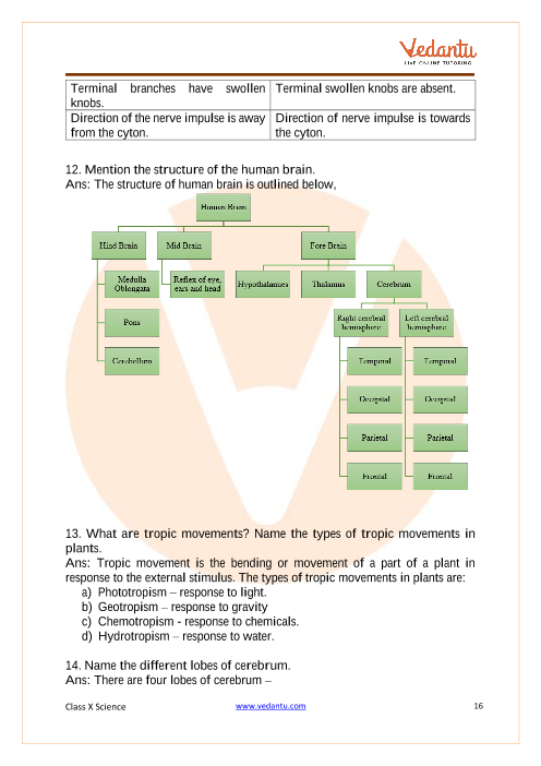 Important Questions of CBSE class 10 Science