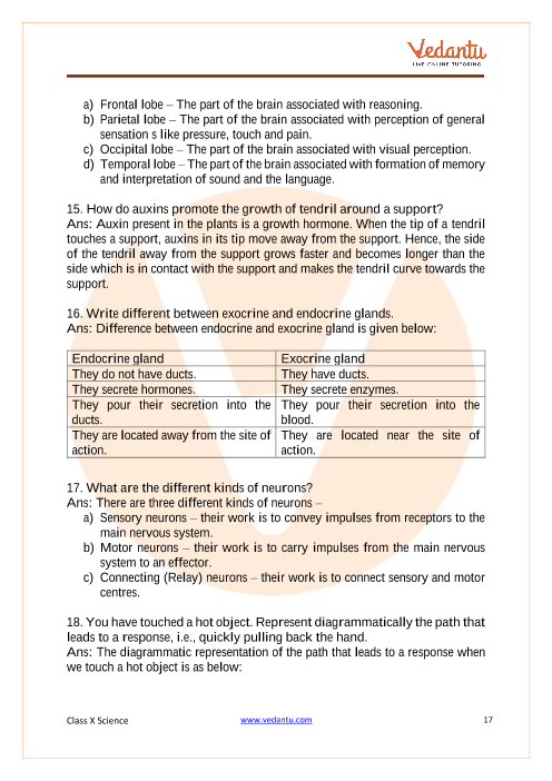 CBSE Class 10 Science - Chapter 6 - Life Processes - Important Questions