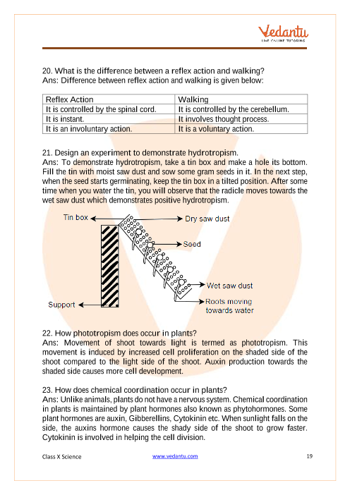 CBSE Class 10 Science - Chapter 6 - Life Processes - Important Questions