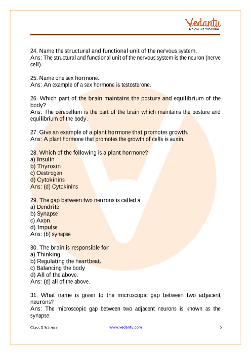 Important Questions of CBSE class 10 Science