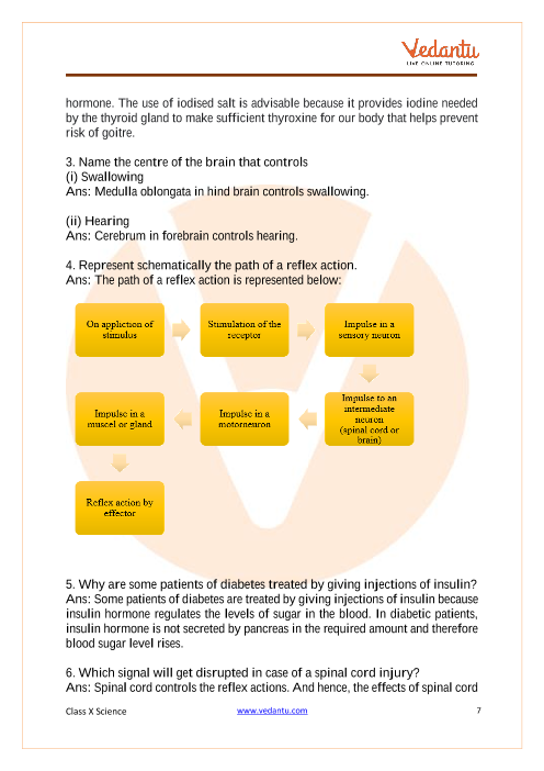 Important Questions of CBSE class 10 Science