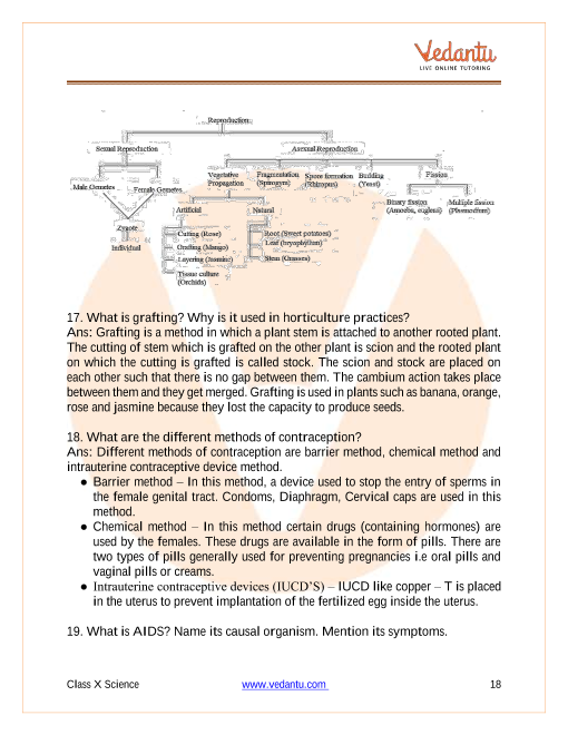 Important Questions of CBSE class 10 Science