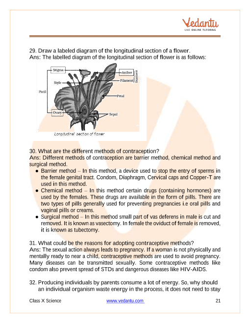 Important Questions of CBSE class 10 Science