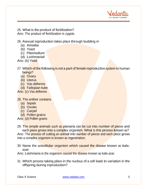 Important Questions of CBSE class 10 Science