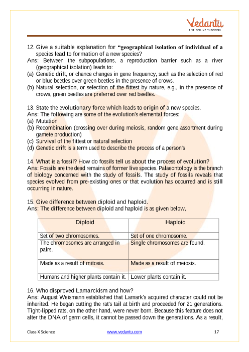 Important Questions of CBSE class 10 Science