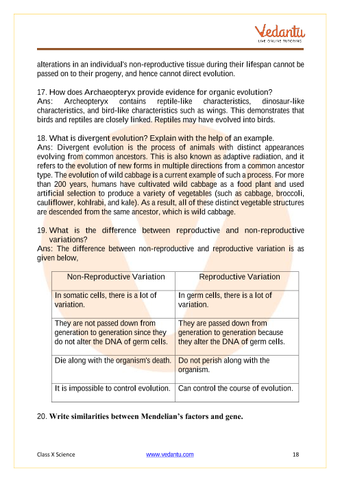 Important Questions of CBSE class 10 Science