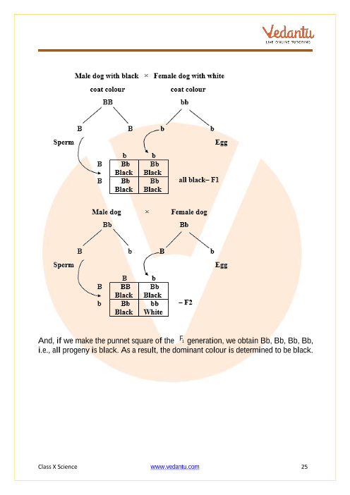 Important Questions of CBSE class 10 Science