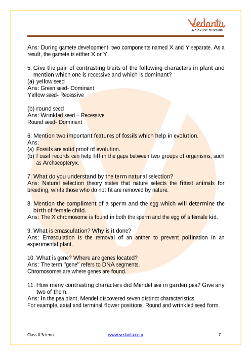 Important Questions of CBSE class 10 Science