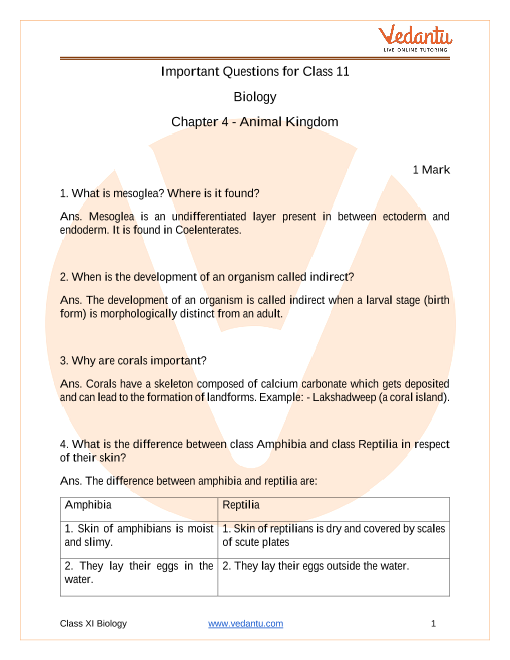 Important Questions Class 11 Biology Chapter 6 Anatomy Of Flowering Plants