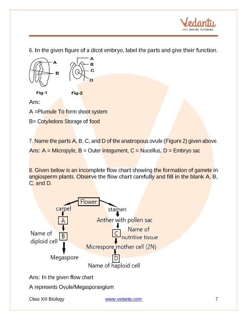 Important questions and answers of CBSE class 12 Biology