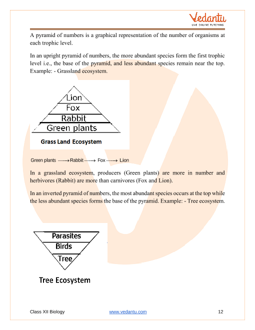 Important questions and answers of CBSE class 12 Biology