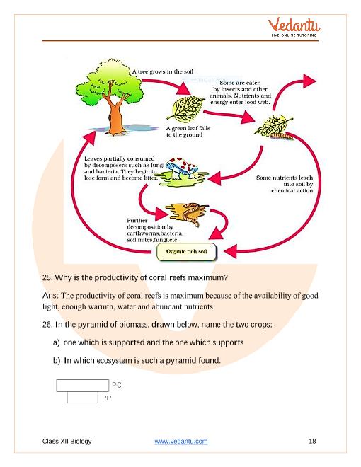 Important questions and answers of CBSE class 12 Biology