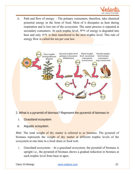 CBSE Class 12 Biology - Chapter 14 - Ecosystem - Important Questions ...