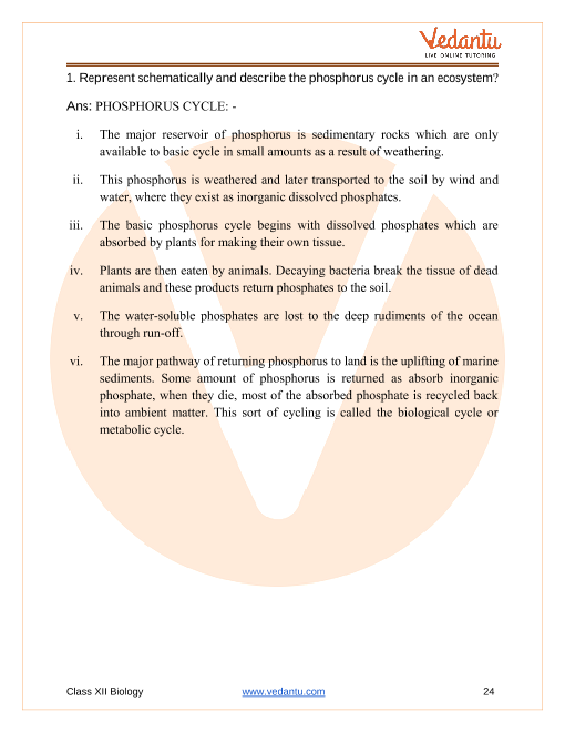 Important questions and answers of CBSE class 12 Biology