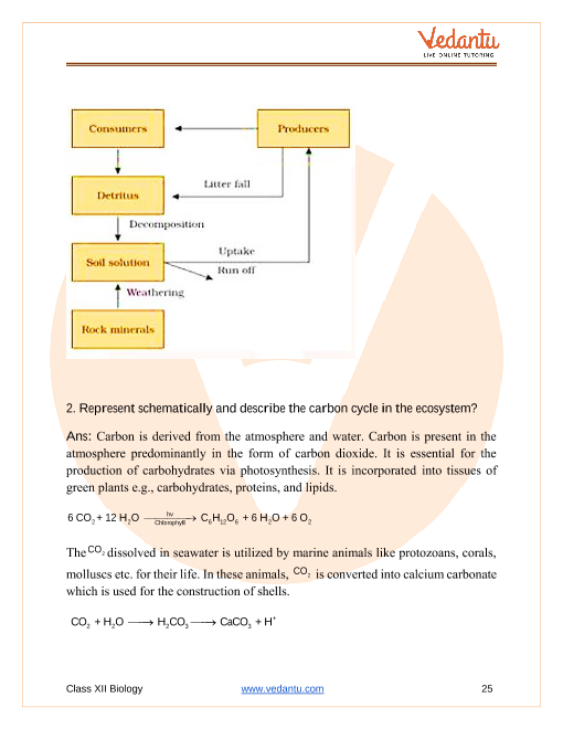 Important questions and answers of CBSE class 12 Biology