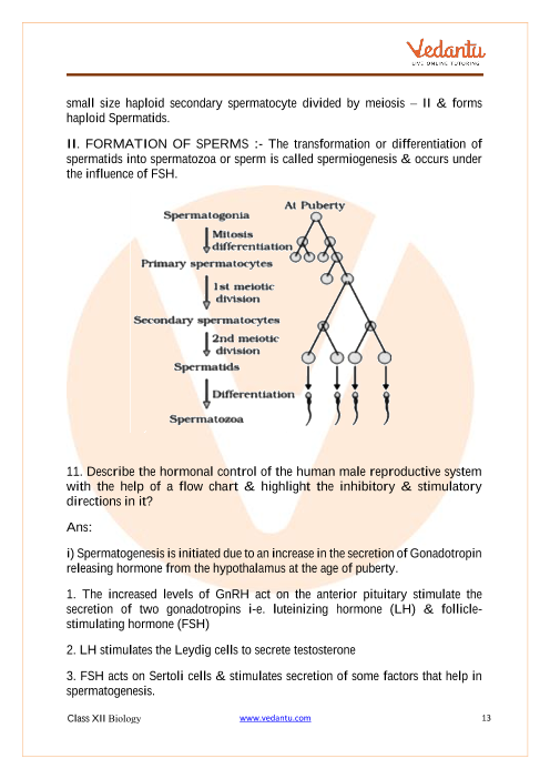 Important questions and answers of CBSE class 12 Biology