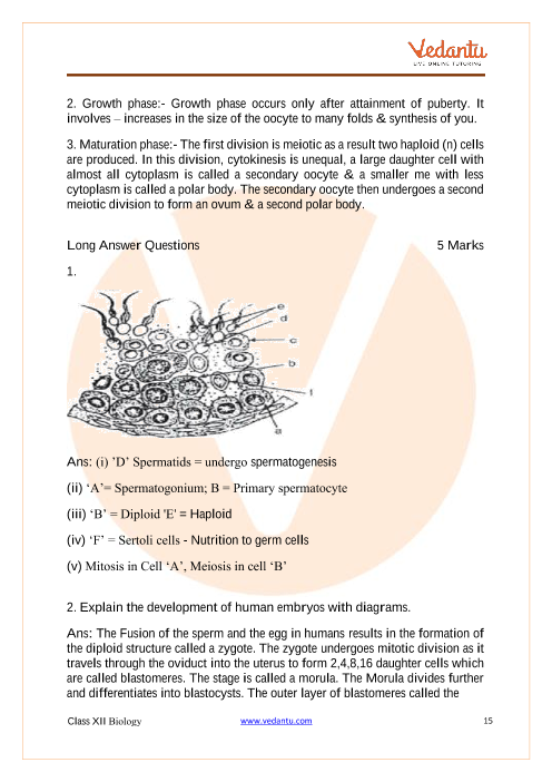 Important questions and answers of CBSE class 12 Biology