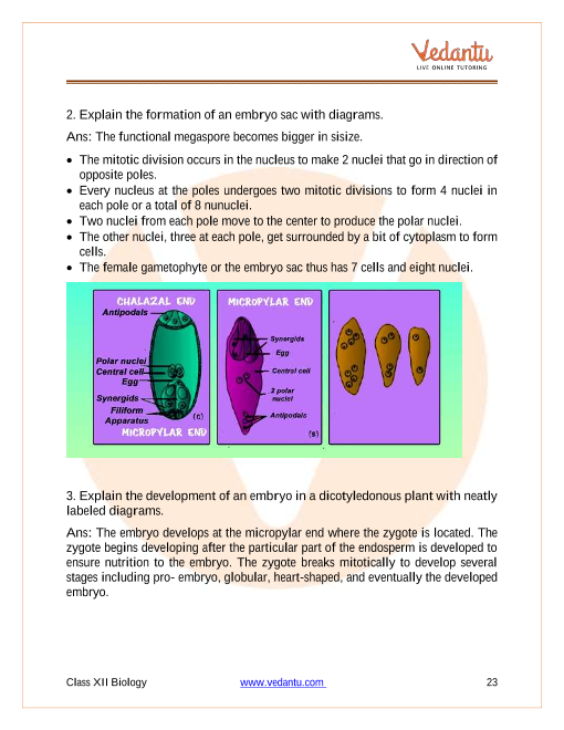 Cbse Class 12 Biology Chapter 2 Sexual Reproduction In Flowering Plants Important 2224