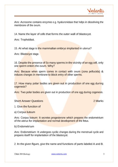 Important questions and answers of CBSE class 12 Biology