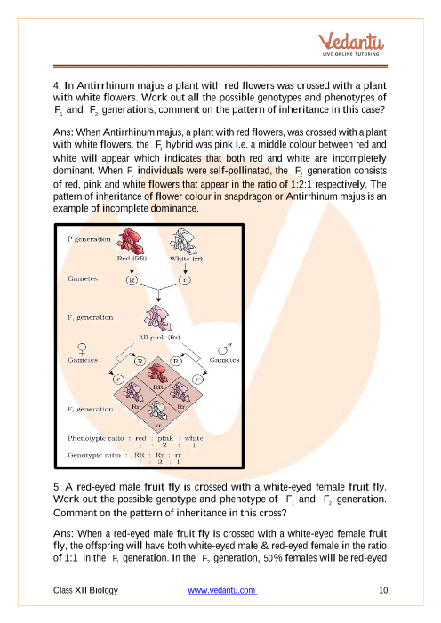 Important questions and answers of CBSE class 12 Biology