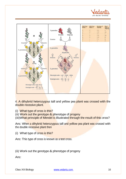 Important questions and answers of CBSE class 12 Biology