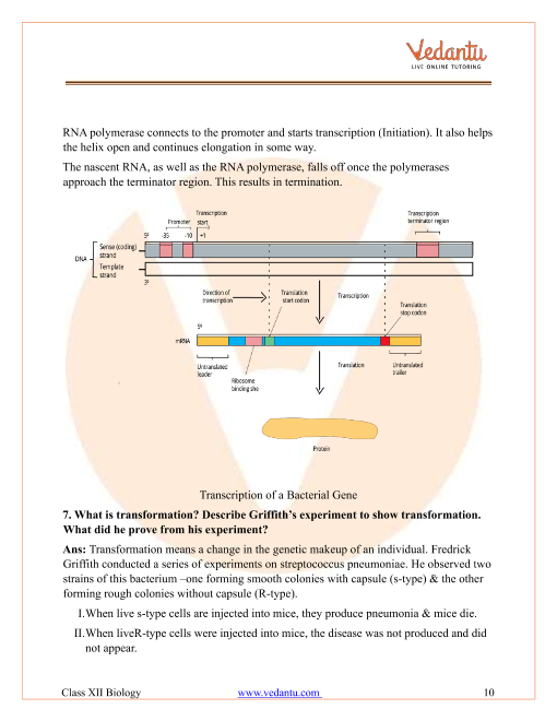 Important questions and answers of CBSE class 12 Biology