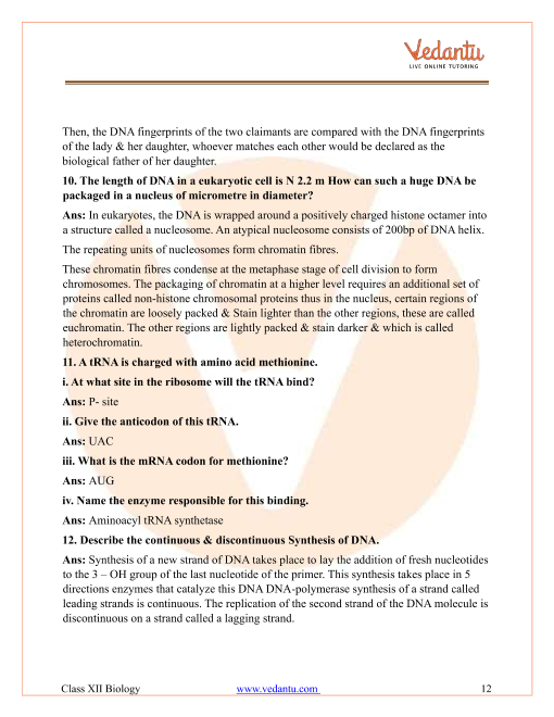 Important questions and answers of CBSE class 12 Biology