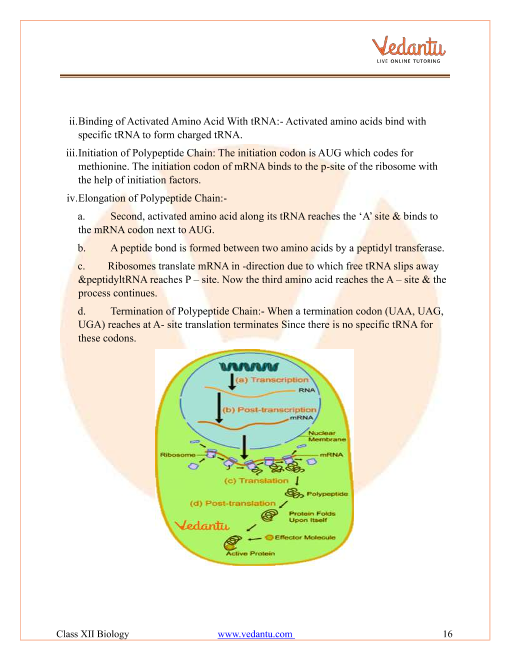 Important questions and answers of CBSE class 12 Biology