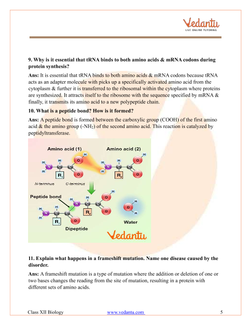 Important questions and answers of CBSE class 12 Biology