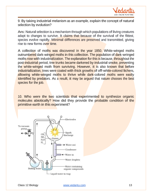 Important questions and answers of CBSE class 12 Biology