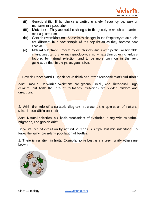 Important questions and answers of CBSE class 12 Biology